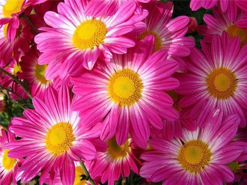 С днем рождения, Александр Александрович! С днем рождения, Александр Александрович!