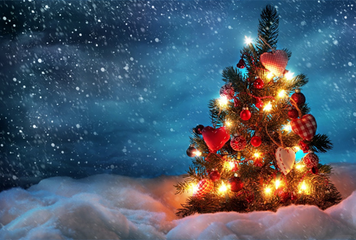 Команда на каникулах Команда на каникулах