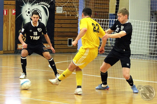 Высшая лига в Бердске Высшая лига в Бердске