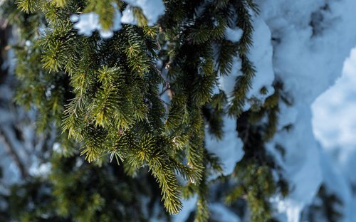 Футболисты Синары отправились на учебно-тренировочный сбор Футболисты Синары отправились на учебно-тренировочный сбор