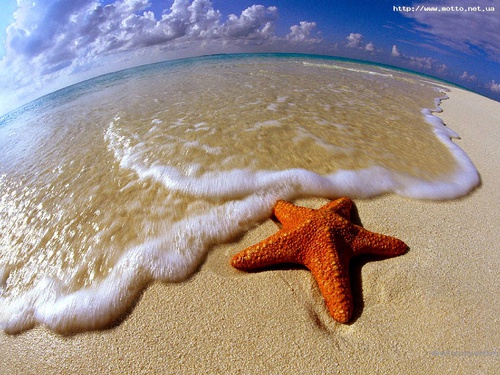 Футболисты команды ушли в отпуск Футболисты команды ушли в отпуск