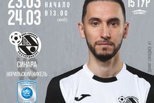 Суперлига 2018/19. 15 тур. Синара - Норильский никель. 2 матч. 24.03.2019