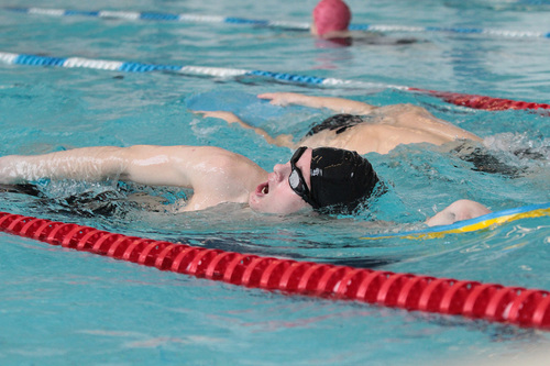 Синара тренируется в бассейне Синара тренируется в бассейне
